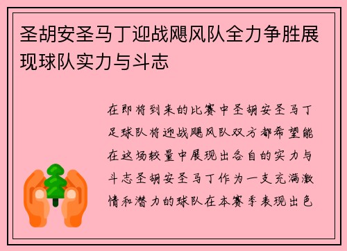 圣胡安圣马丁迎战飓风队全力争胜展现球队实力与斗志